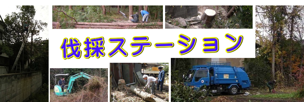 京極町の庭木伐採、立木枝落し、草刈りを承ります。